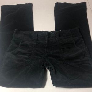 New Sanctuary Black Pants 31